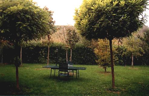 Giardino 0201.jpg (31668 byte)