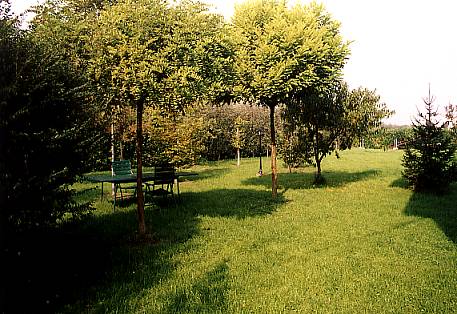 Giardino 0202.jpg (43642 byte)